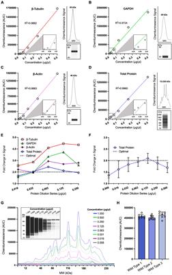 Quantification of AMPA receptor subunits and RNA editing-related proteins in the J20 mouse model of Alzheimer’s disease by capillary western blotting
